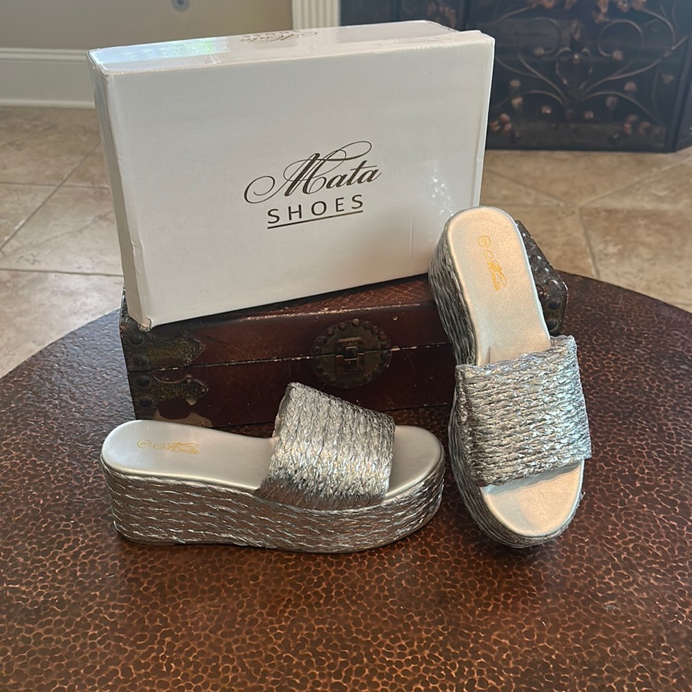 New in Box Silver lining Espadrille platform sandals 👡!!
